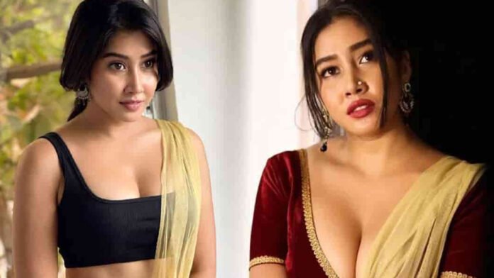 Sofia Ansari Bio Data, करियर से लेकर कमाई तक