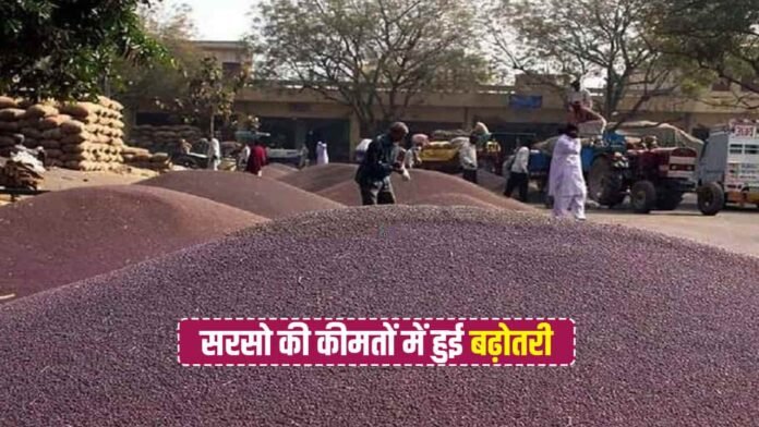 Sarso ki Kimat: किसानो के लिए खुशखबरी! सरसो की कीमतों में हुई बढ़ोतरी
