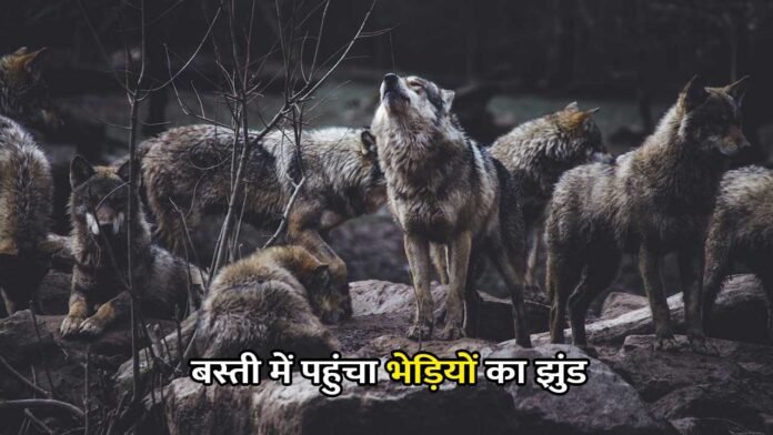 भेड़ियों का झुंड अब आ पहुंचा बस्ती